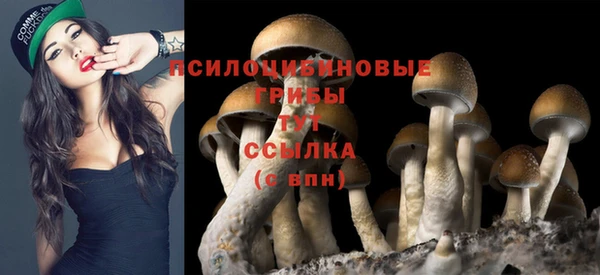ГАЛЛЮЦИНОГЕННЫЕ ГРИБЫ Алзамай