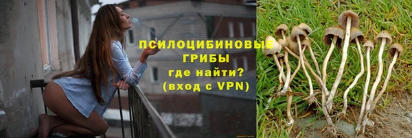 ГАЛЛЮЦИНОГЕННЫЕ ГРИБЫ Алзамай