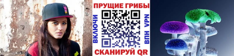 Псилоцибиновые грибы Psilocybe  Пикалёво 